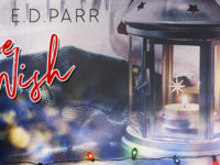 Make a Wish, #Erotic #MM #Romance in time for the Holiday by E.D. Parr #NewRelease