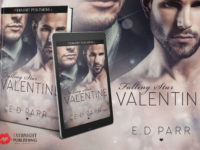Falling Star Valentine new RoTG #MMromance #SciFi from Evernight Publishing and E.D.Parr